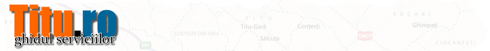 Servicii, Printari, Fotocopii, Copy center  din zona Titu, Racari, Potlogi
